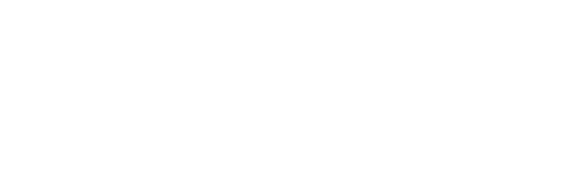 Raja Shirguppe